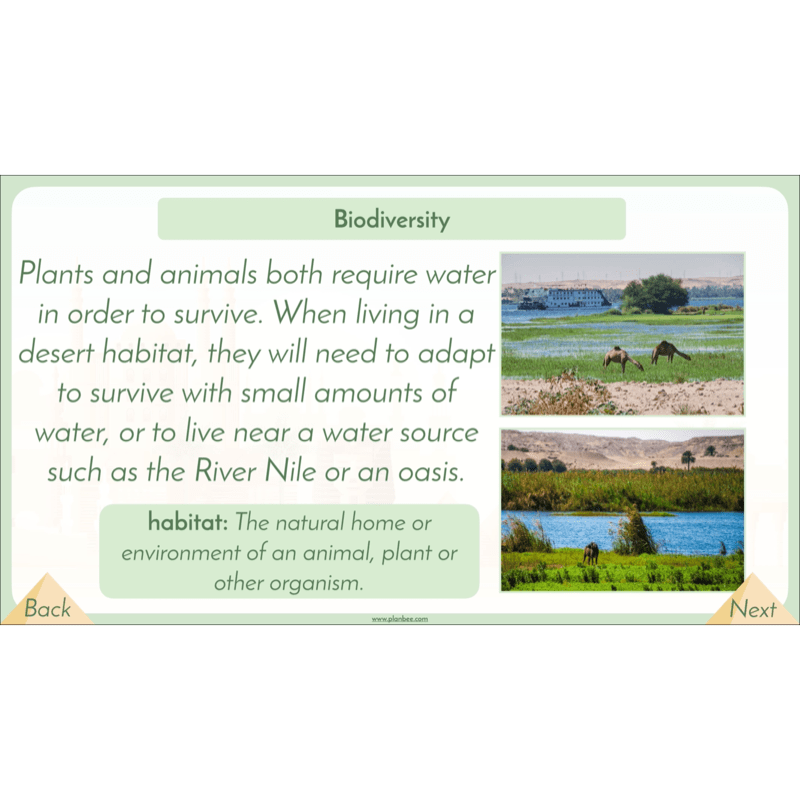 PlanBee Egypt Today - Year 3/4 Geography Lessons 