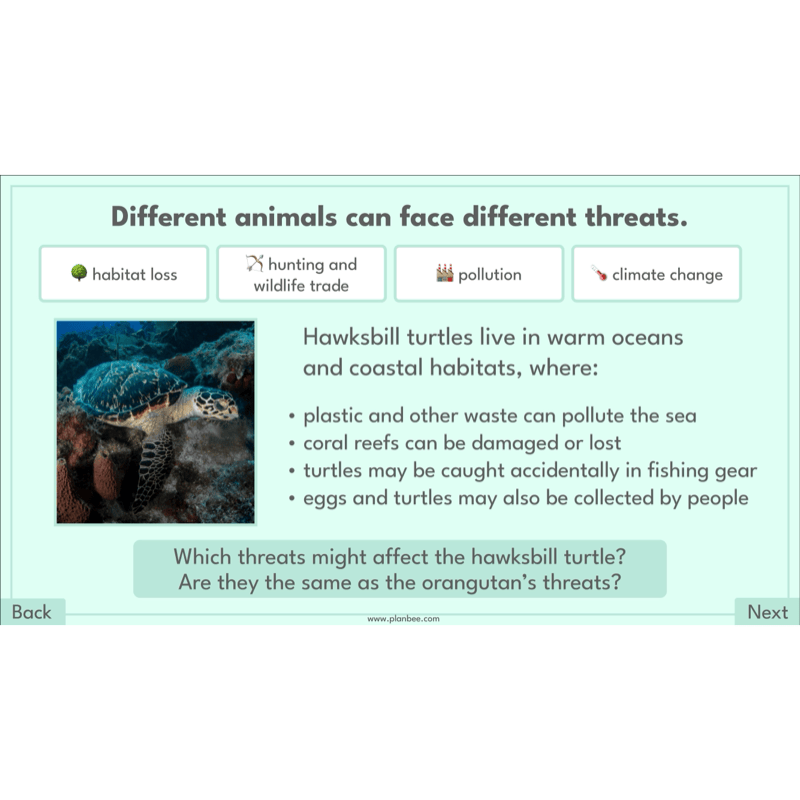 Endangered Animals