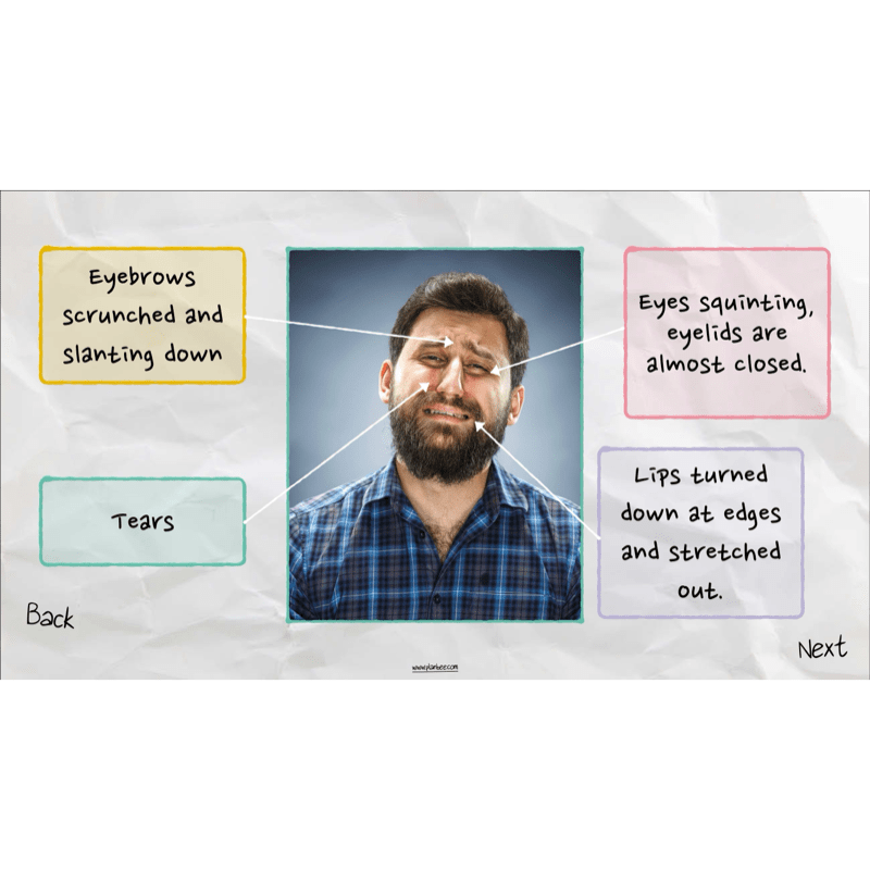 PlanBee Express Yourself Art lessons and resources for KS2 | PlanBee