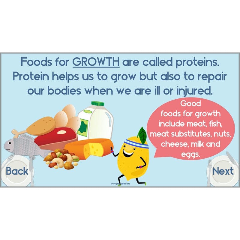 PlanBee Animals Including Humans Year 3 Science Lessons by PlanBee