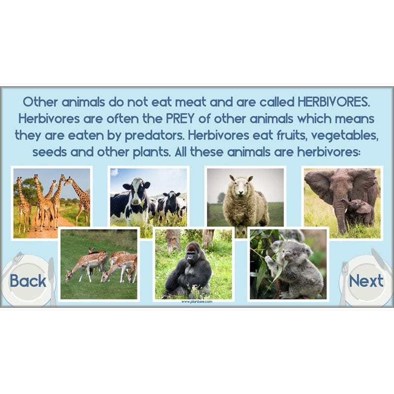 PlanBee Animals Including Humans Year 3 Science Lessons by PlanBee