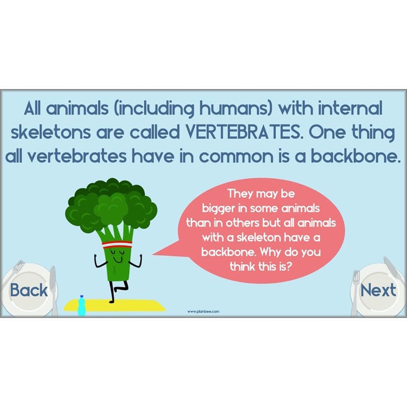 PlanBee Animals Including Humans Year 3 Science Lessons by PlanBee