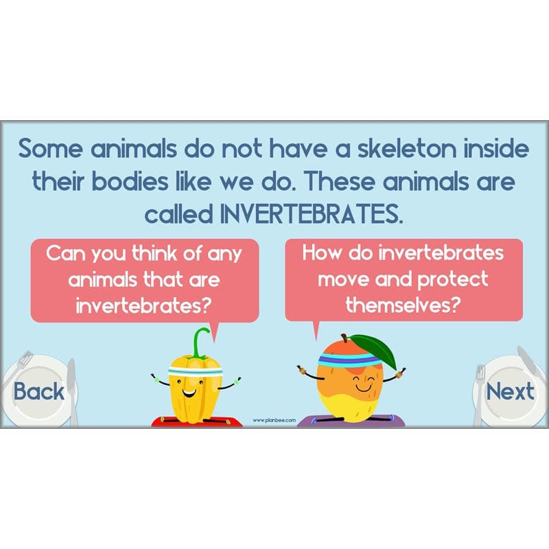 PlanBee Animals Including Humans Year 3 Science Lessons by PlanBee