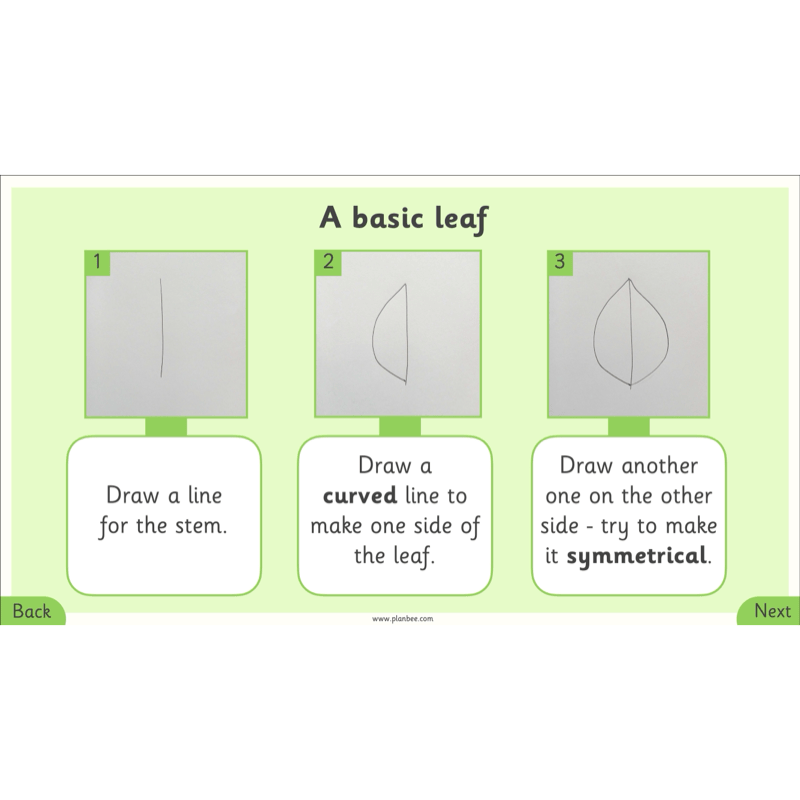 PlanBee Henri Rousseau KS1 Art Lessons