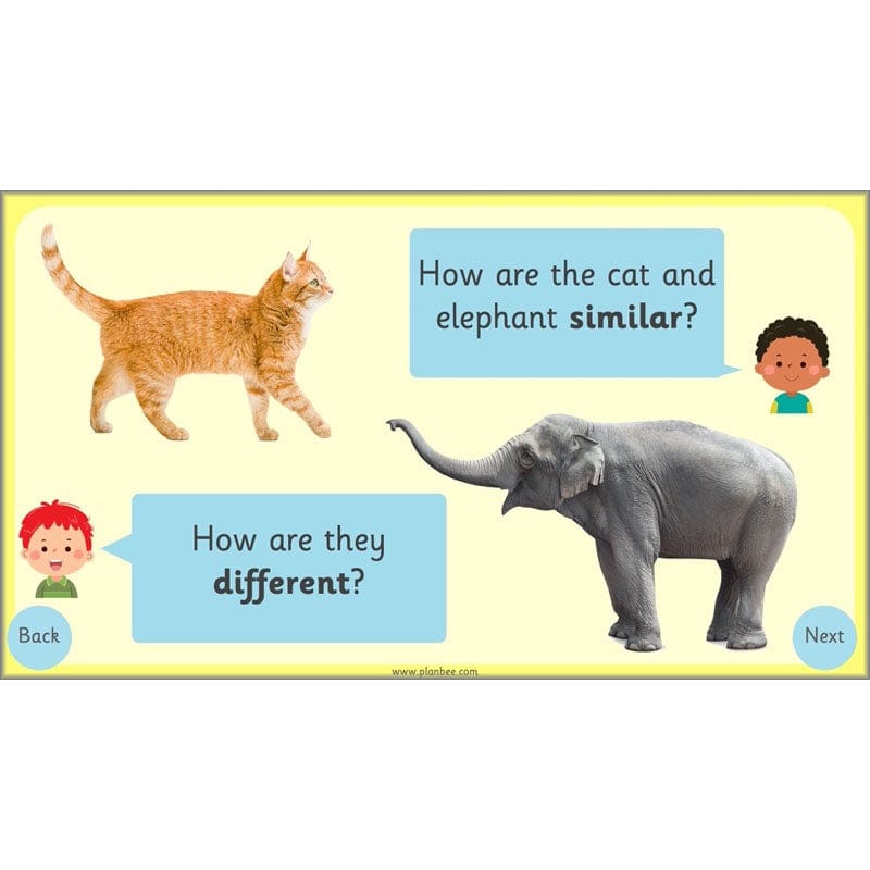 PlanBee I am awesome PSHE KS1 lessons by PlanBee