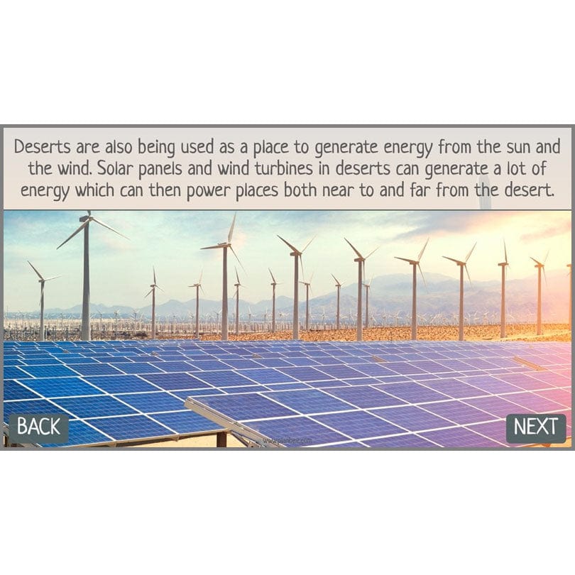 PlanBee In the Desert: Desert Habitat KS2 Geography by PlanBee