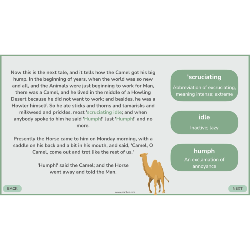 PlanBee Just So Stories KS2 | Reading Comprehension Year 4