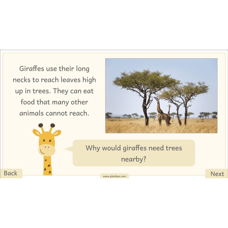 PlanBee Let's go on Safari | Kenya KS1 Geography Lesson Pack