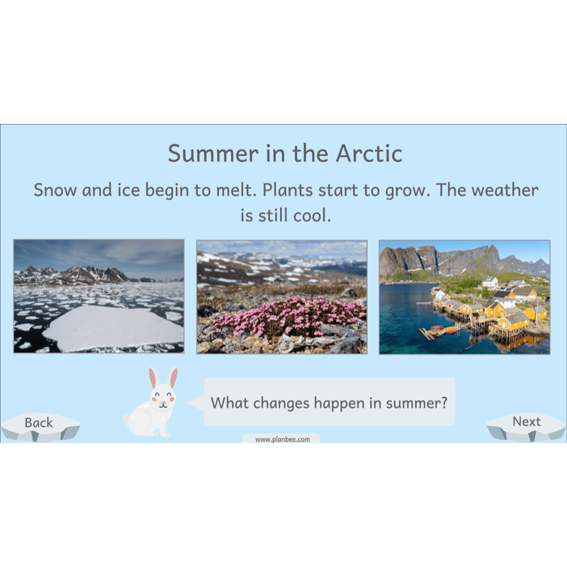 PlanBee Let's go to the Arctic KS1 Geography Lesson Pack