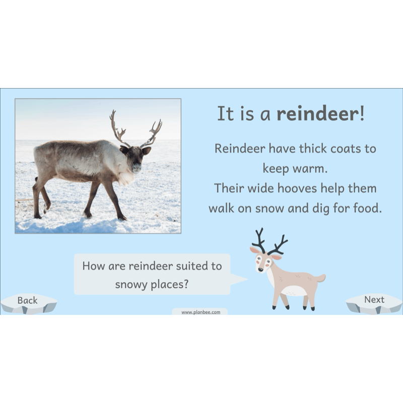 PlanBee Let's go to the Arctic KS1 Geography Lesson Pack