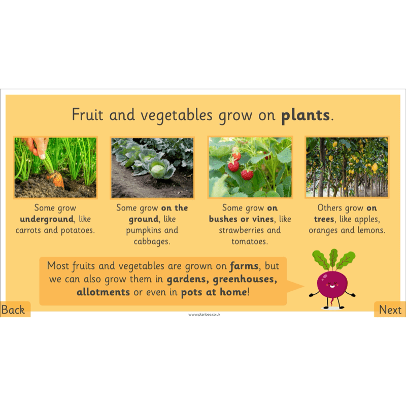 PlanBee Making Healthy Snacks | KS1 DT Lesson Pack