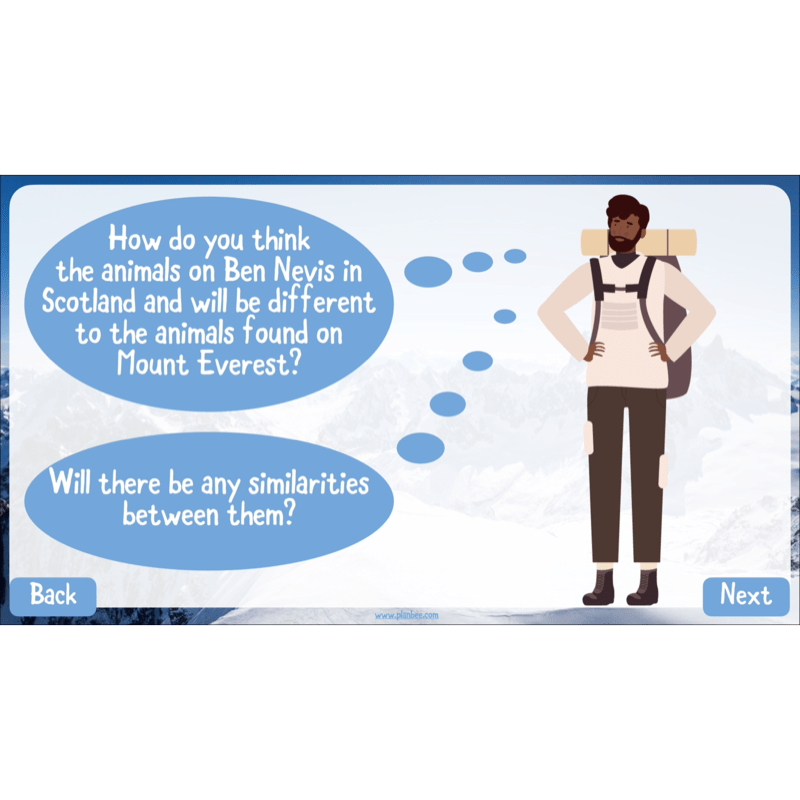 PlanBee Mountain Science KS2 | Food Chains, Adaptation & Life Cycles
