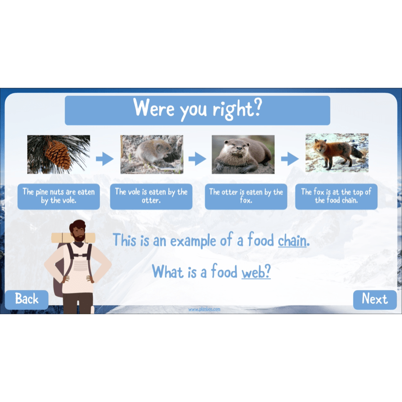 PlanBee Mountain Science KS2 | Food Chains, Adaptation & Life Cycles
