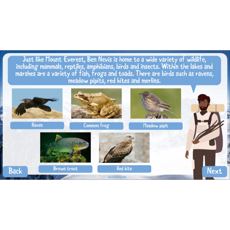 PlanBee Mountain Science KS2 | Food Chains, Adaptation & Life Cycles