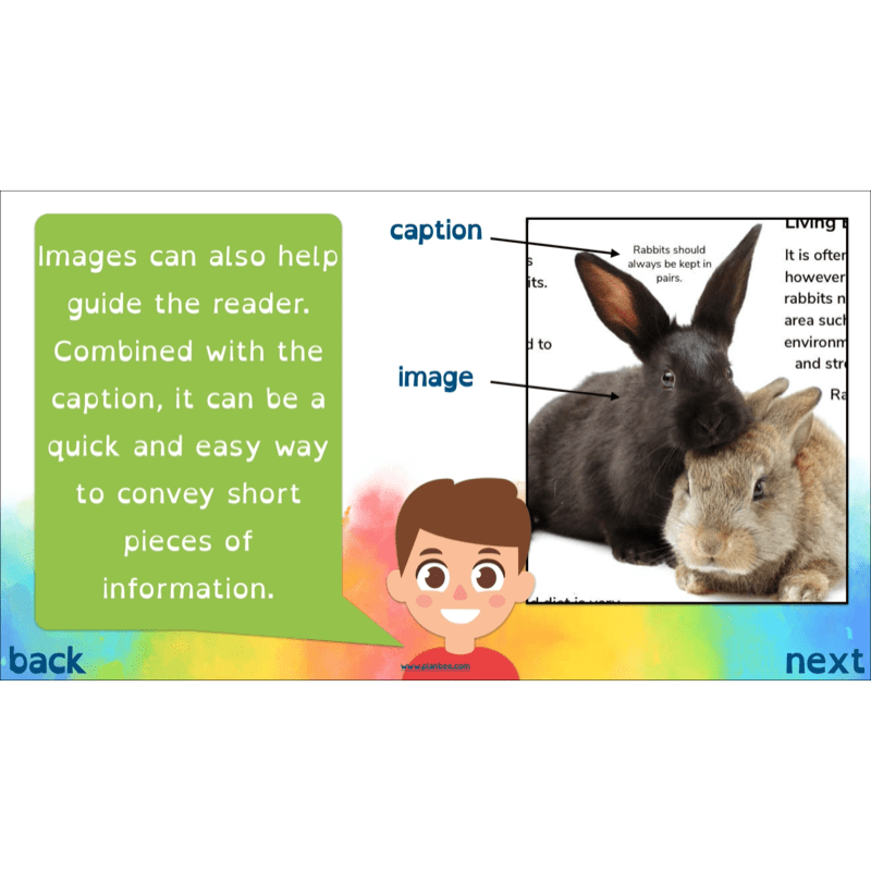 PlanBee Non-chronological Reports Year 6 English Planning