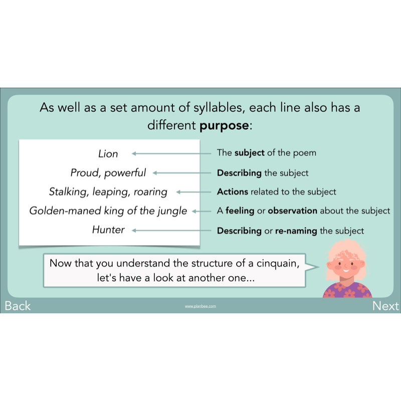 PlanBee Year 3 Patterns in Poetry | Investigating Types of Poems