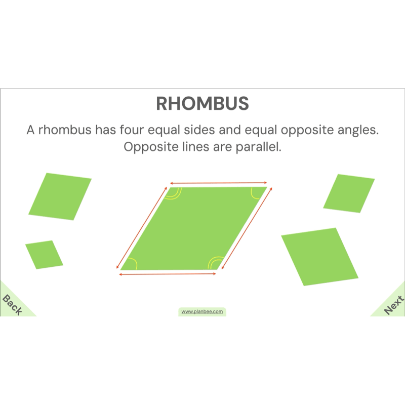 PlanBee Year 4 Properties of 2D Shapes KS2 Maths by PlanBee