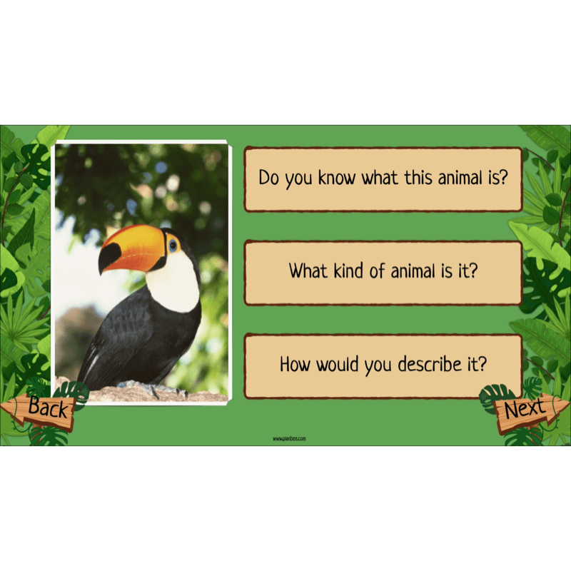 PlanBee Rainforest Habitats KS2 Science Lesson Pack