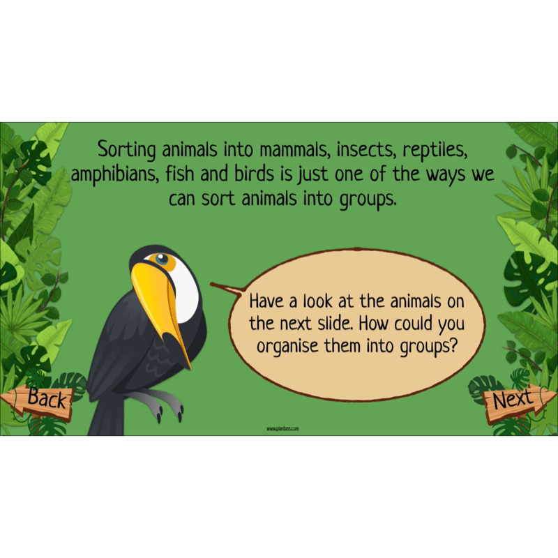 PlanBee Rainforest Habitats KS2 Science Lesson Pack