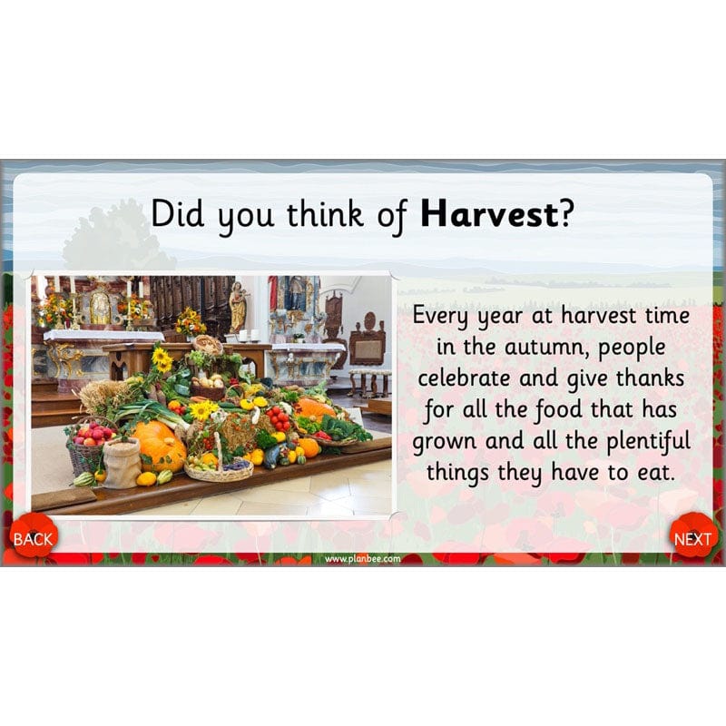 PlanBee KS1 Remembrance Day Lesson | Year 2 History Planning