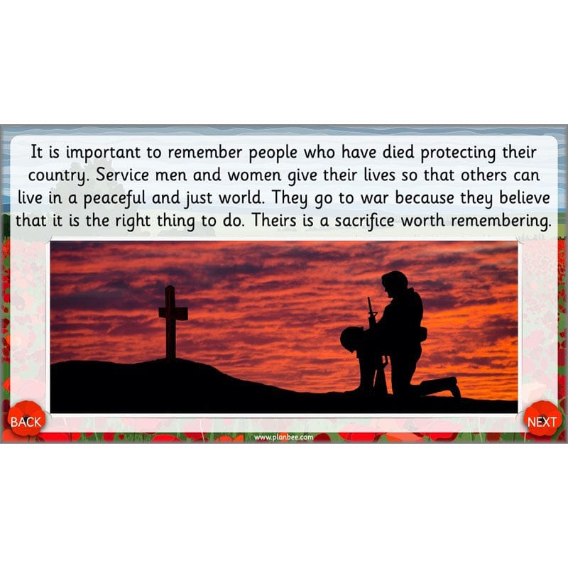 PlanBee KS1 Remembrance Day Lesson | Year 2 History Planning