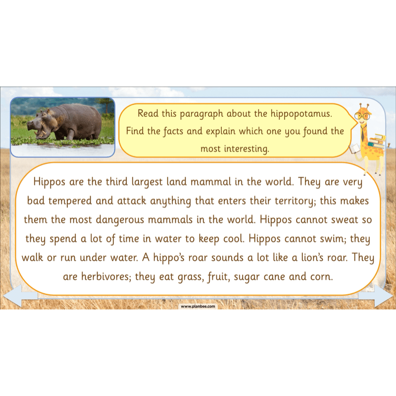 PlanBee Safari Adventures KS1 | English Lesson Pack