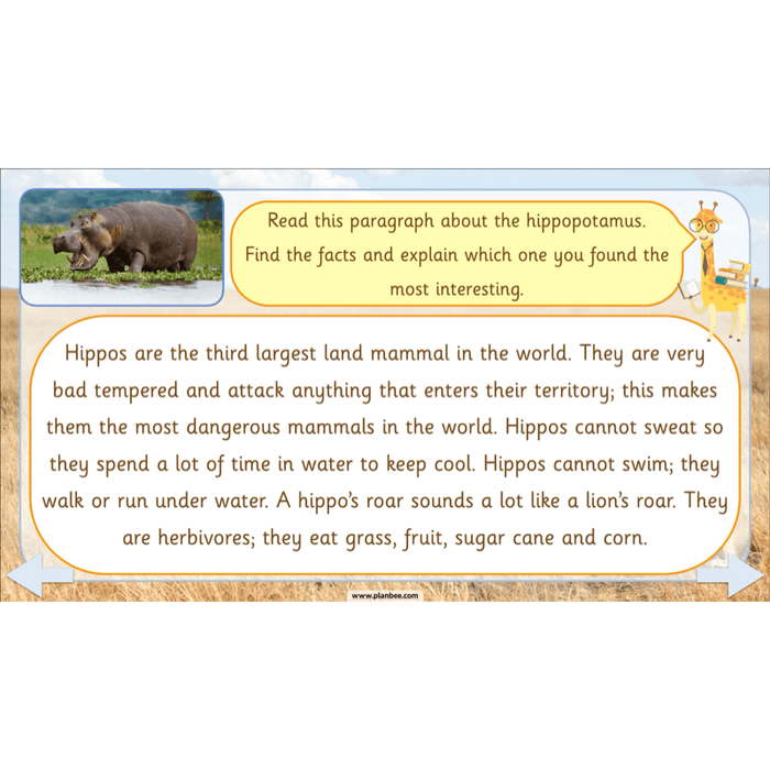 PlanBee Safari Adventures KS1 | English Lesson Pack