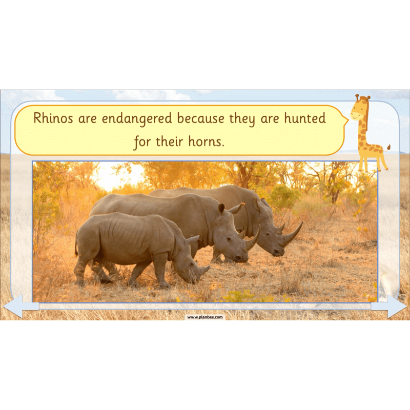 PlanBee Safari Adventures KS1 | English Lesson Pack