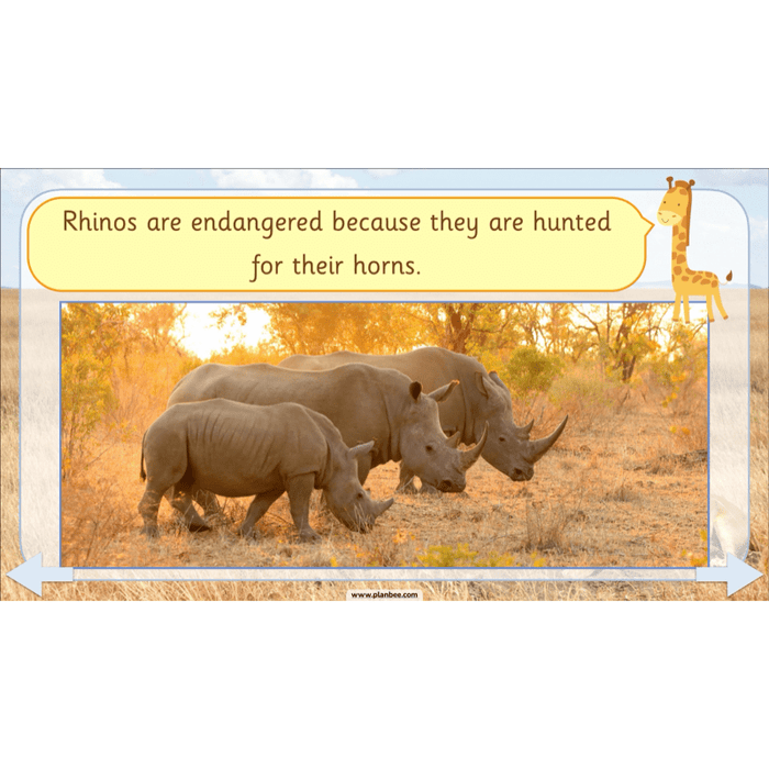 PlanBee Safari Adventures KS1 | English Lesson Pack