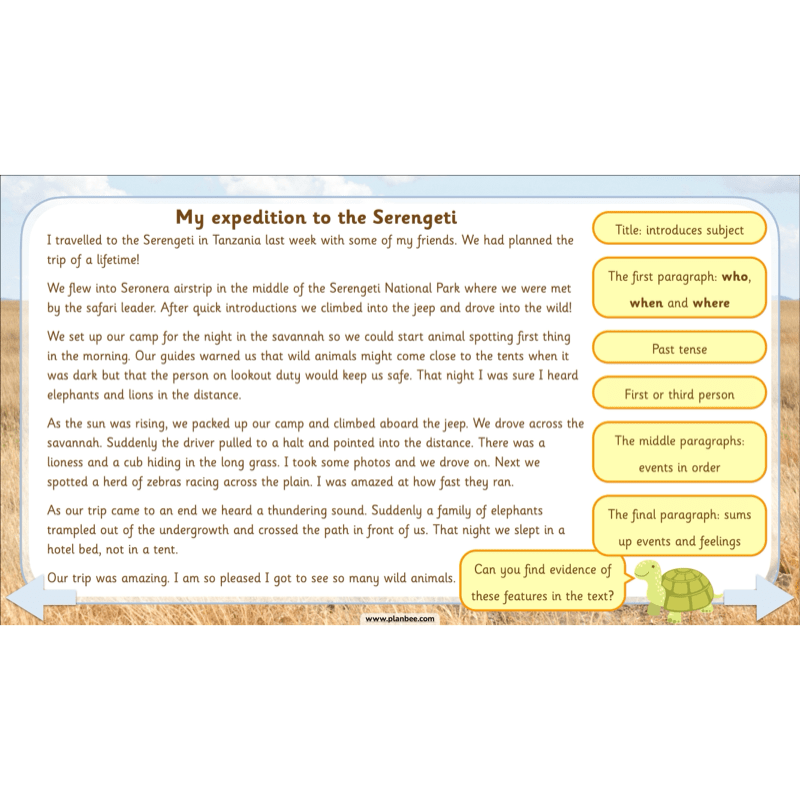 PlanBee Safari Adventures KS1 | English Lesson Pack