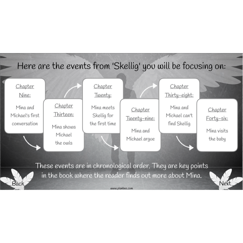 PlanBee Skellig Diary Entries KS2 | Year 6 English Lesson Pack