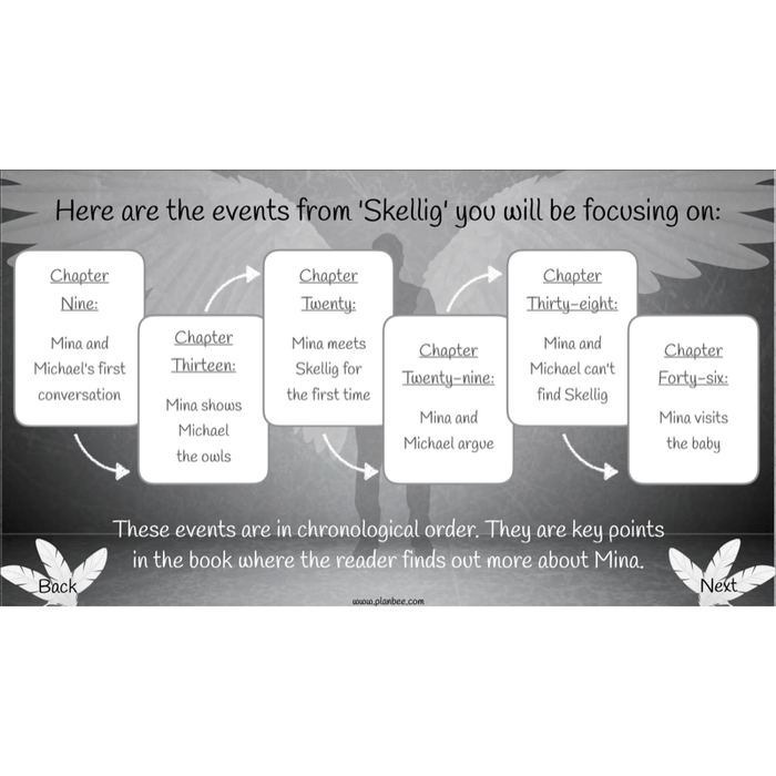 PlanBee Skellig Diary Entries KS2 | Year 6 English Lesson Pack