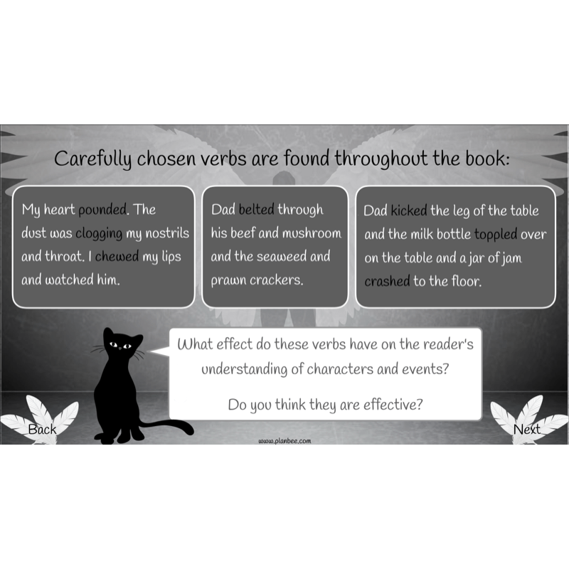 PlanBee Skellig: Narrative