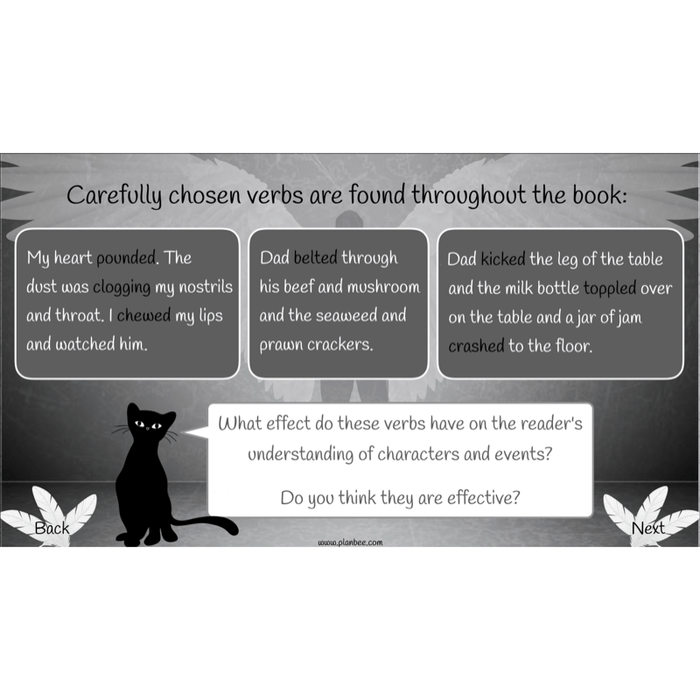 PlanBee Skellig: Narrative