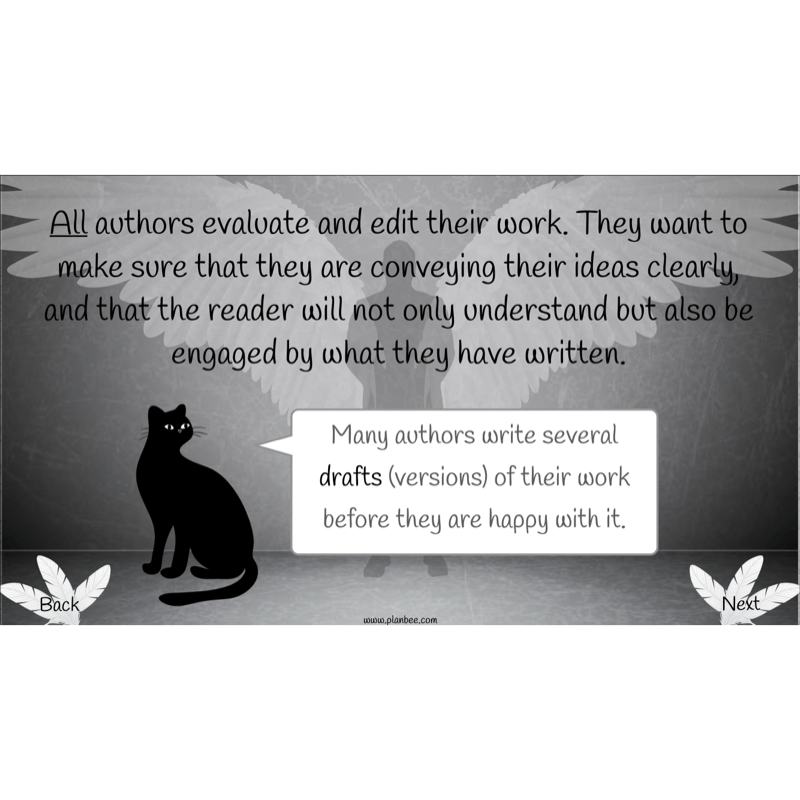 PlanBee Skellig: Narrative