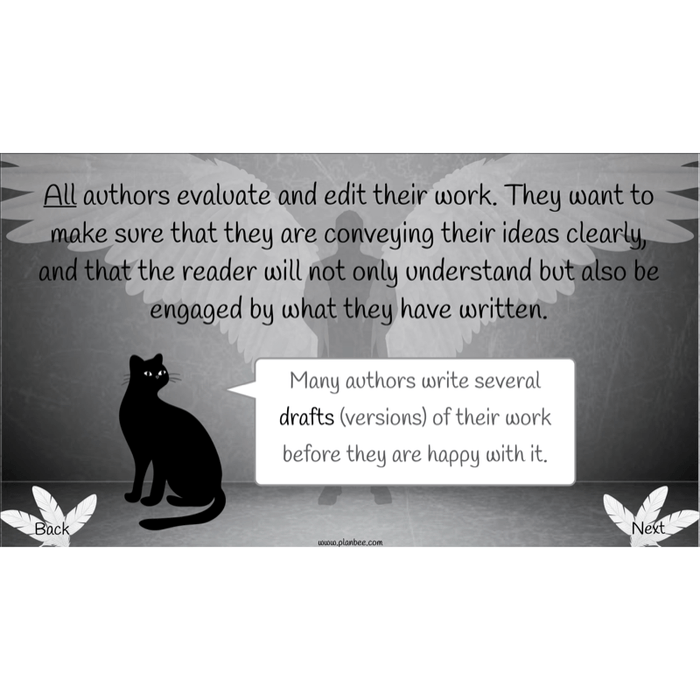 PlanBee Skellig: Narrative