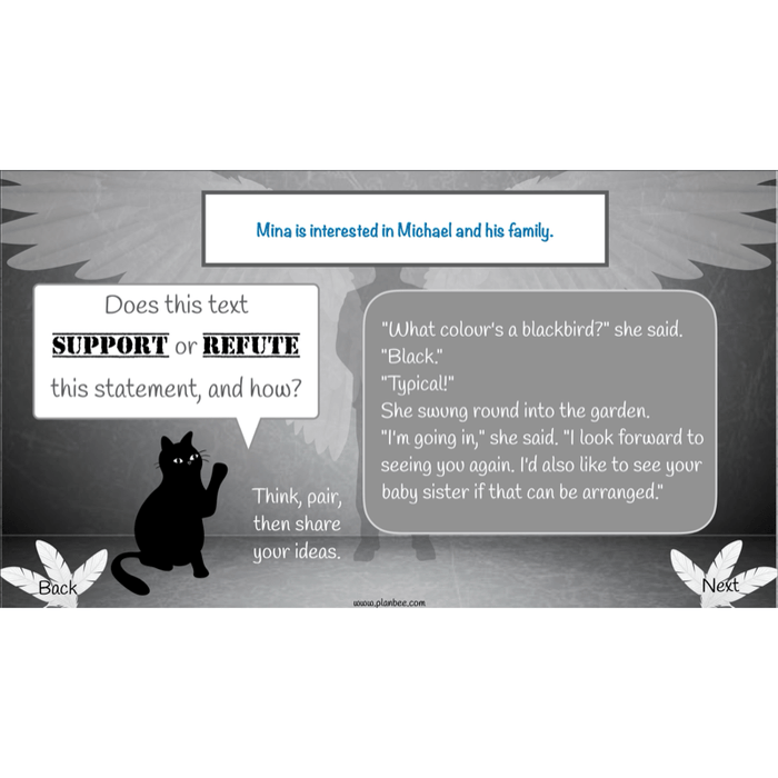 PlanBee Skellig: Reading Comprehension