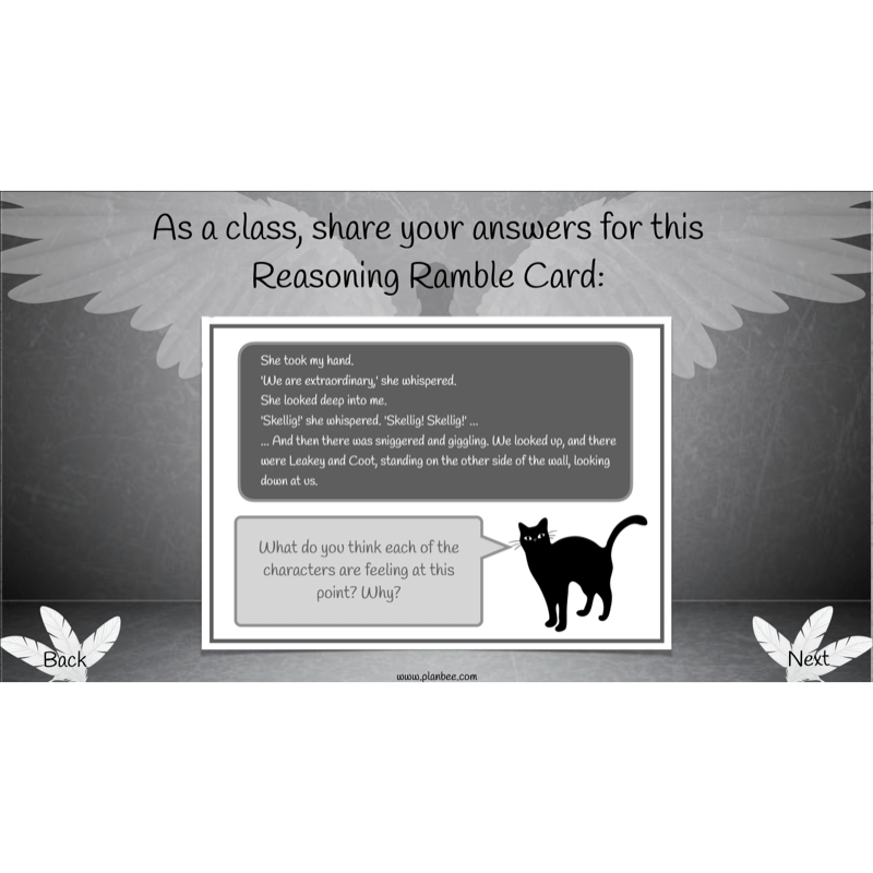 Skellig: Reading Comprehension