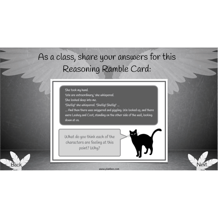 Skellig: Reading Comprehension