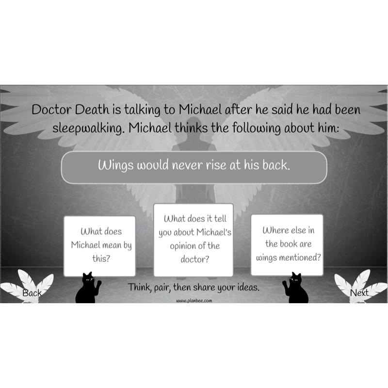 Skellig: Reading Comprehension