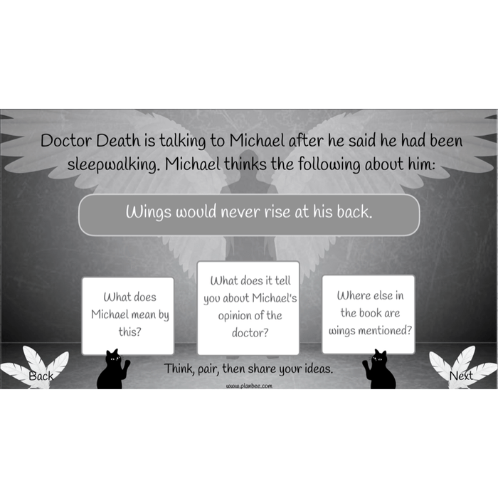 Skellig: Reading Comprehension