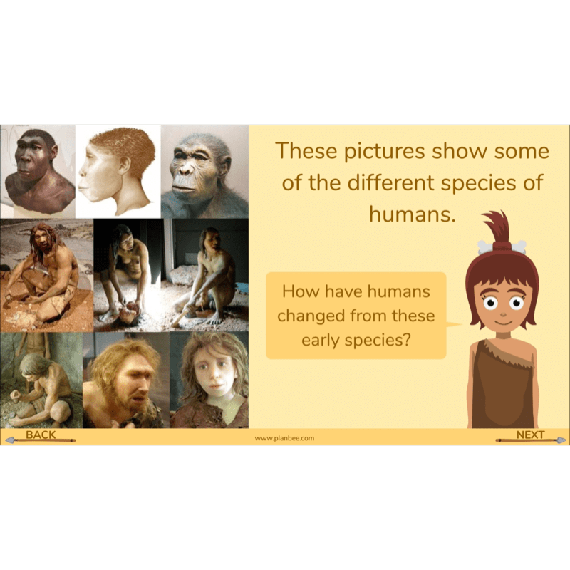 PlanBee Stone Age to Iron Age Year 3 and 4 | History Lessons KS2