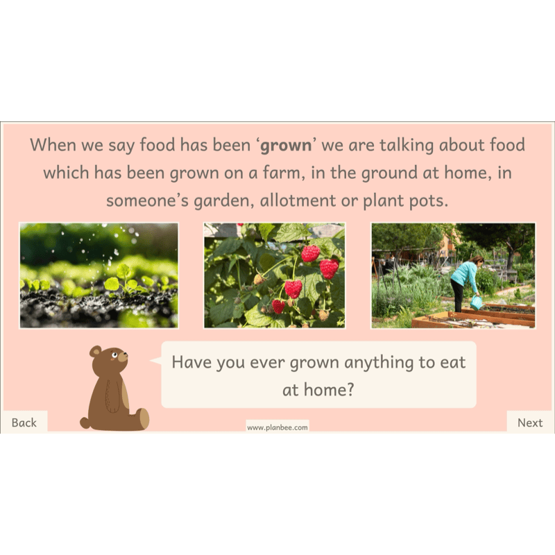 PlanBee Teddy Bears Picnic Ideas and DT Lessons by PlanBee