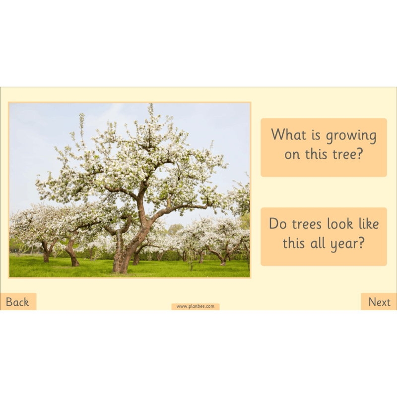 PlanBee The Four Seasons KS1 Geography Lesson Pack