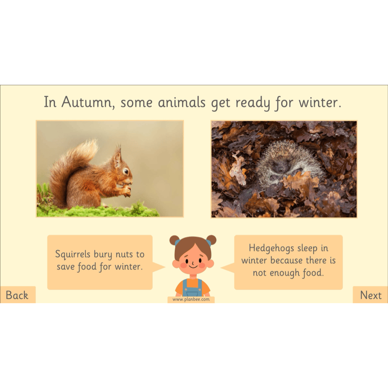 PlanBee The Four Seasons KS1 Geography Lesson Pack