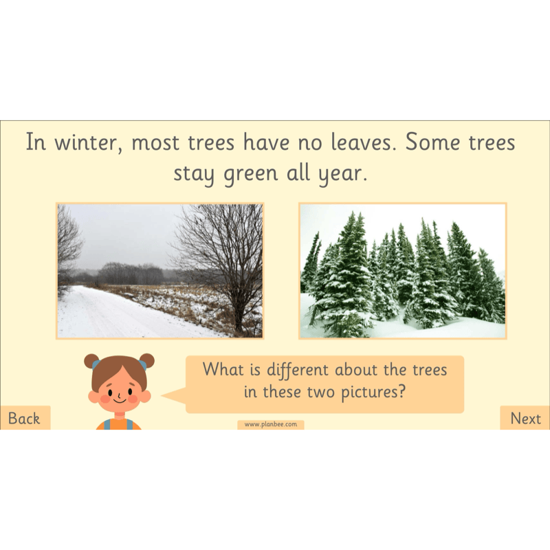 PlanBee The Four Seasons KS1 Geography Lesson Pack