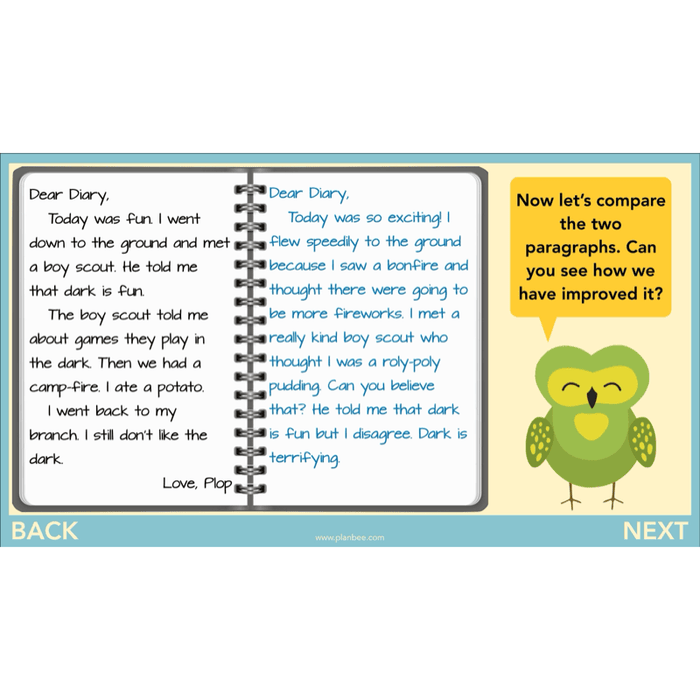 PlanBee FREE | The Owl who was Afraid of the Dark | Diaries KS2