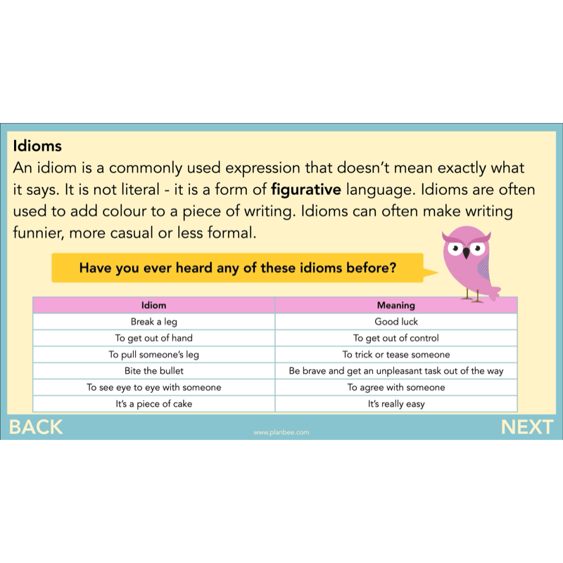 PlanBee FREE | The Owl who was Afraid of the Dark | Diaries KS2