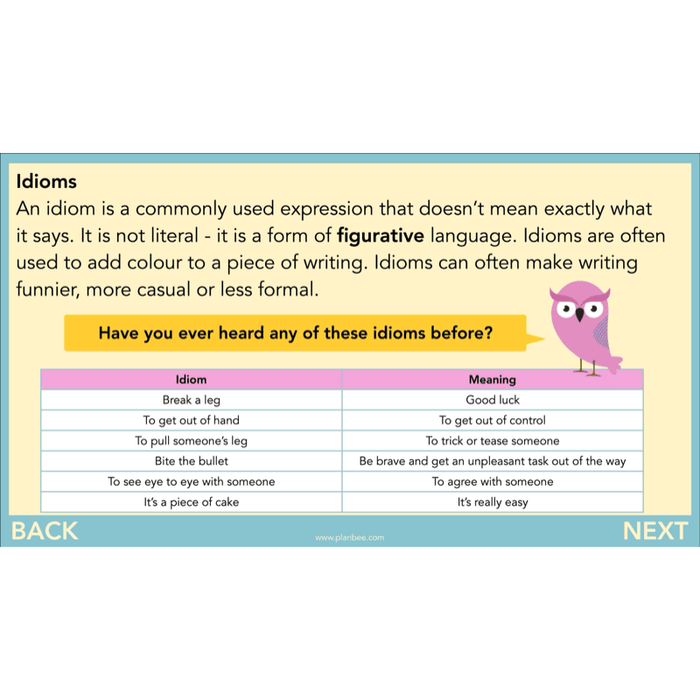 PlanBee FREE | The Owl who was Afraid of the Dark | Diaries KS2