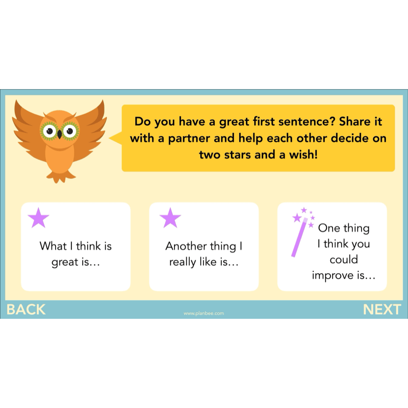 PlanBee FREE | The Owl who was Afraid of the Dark | Diaries KS2